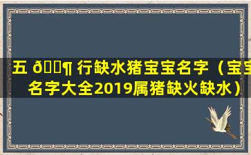 五 🐶 行缺水猪宝宝名字（宝宝名字大全2019属猪缺火缺水）